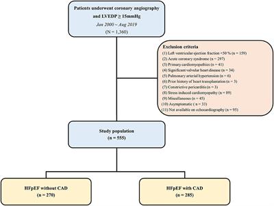 Prognostic implications of coronary artery disease and stress tests in patients with elevated left ventricular filling pressure and preserved ejection fraction